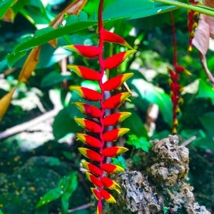 Meet your Posher, Daniela